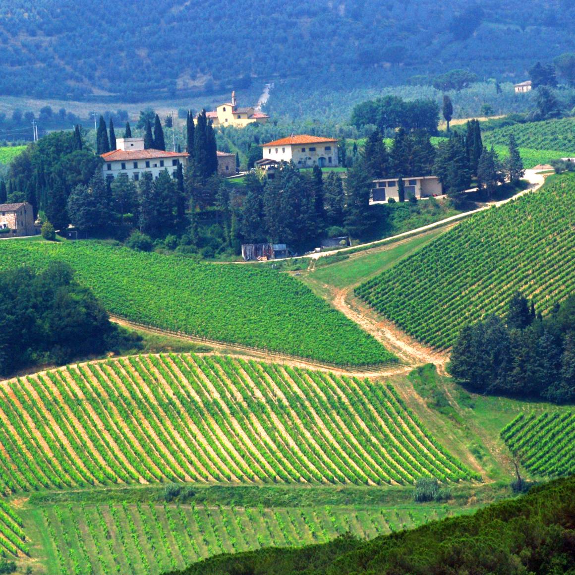 Voyages agricoles