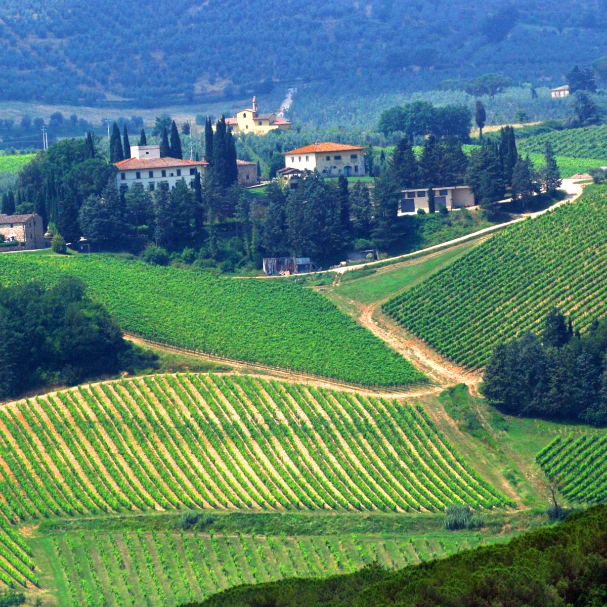 Voyages agricoles